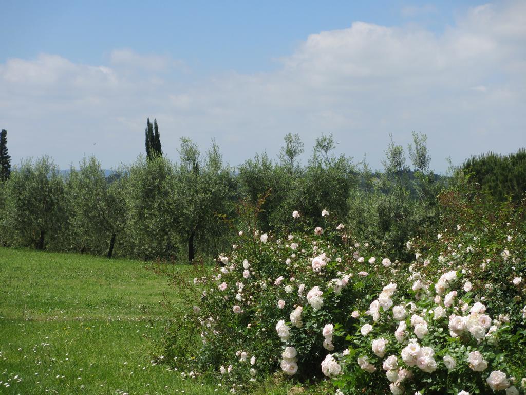Locanda Le Boscarecce Castelfiorentino Exterior photo