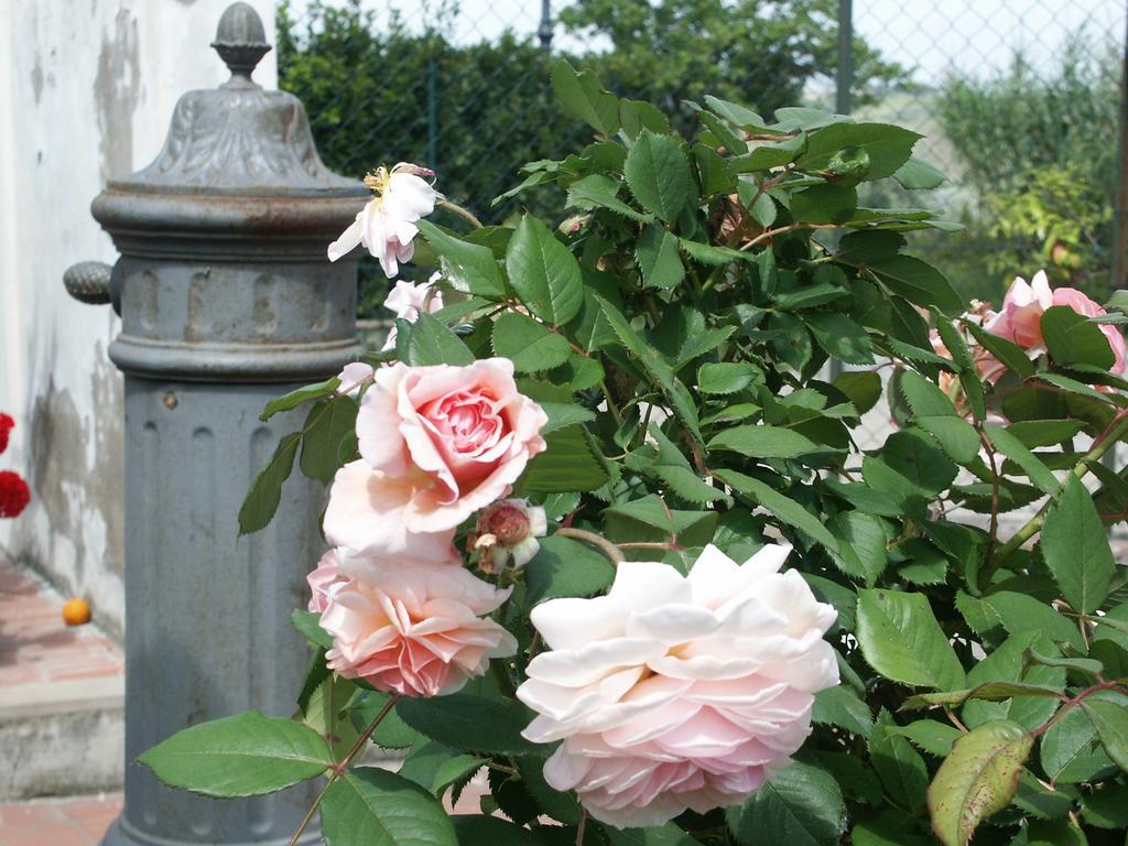 Locanda Le Boscarecce Castelfiorentino Exterior photo