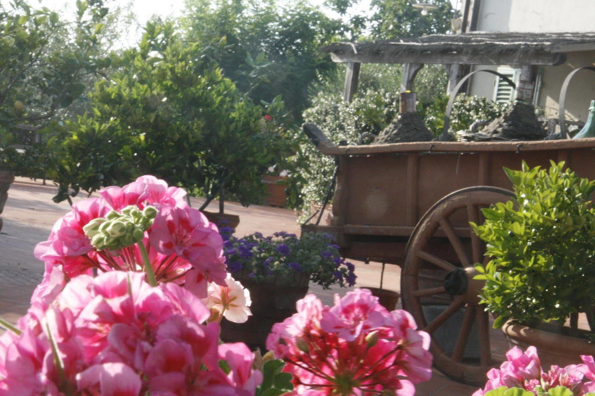 Locanda Le Boscarecce Castelfiorentino Exterior photo